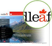 Redleaf